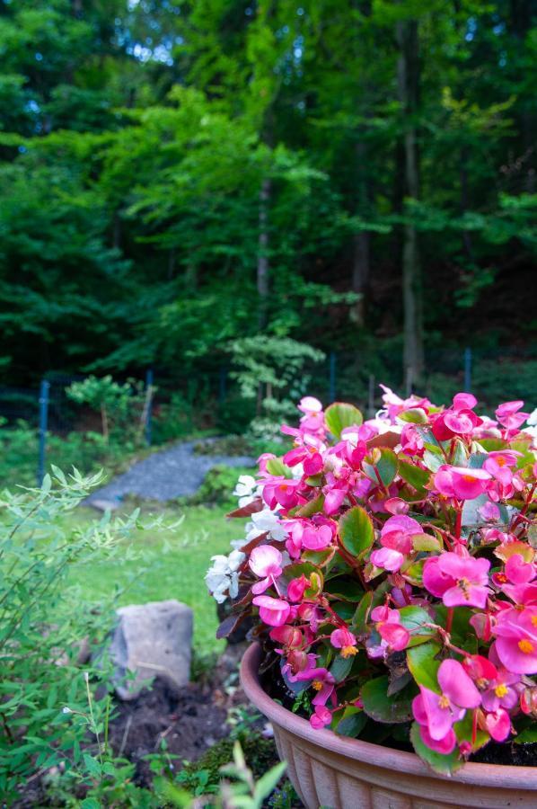 Monti Guest house